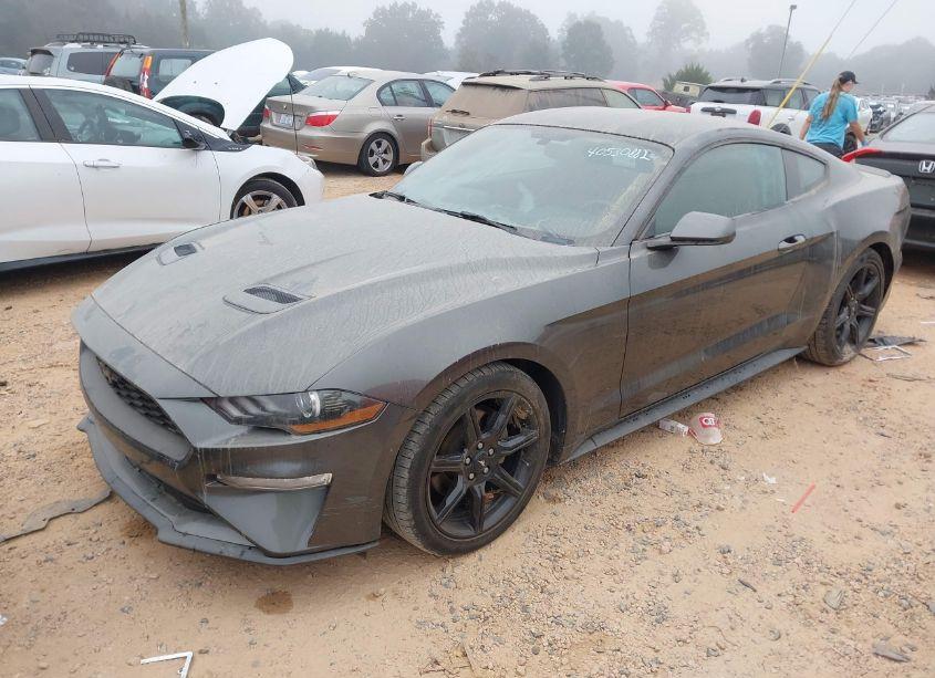 Photo 2 of 2019 Ford Mustang ECOBOOST (VIN 1FA6P8TH8K5103541)