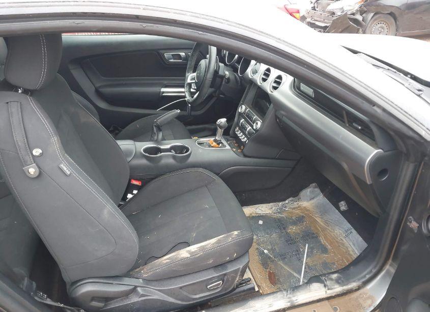 Photo 5 of 2019 Ford Mustang ECOBOOST (VIN 1FA6P8TH8K5103541)