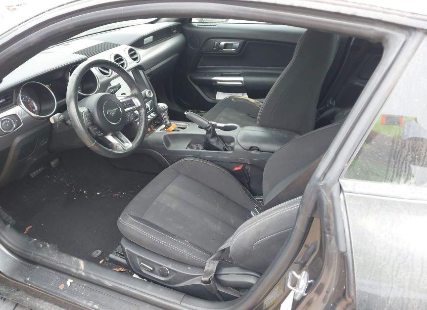 Photo 6 of 2019 Ford Mustang ECOBOOST (VIN 1FA6P8TH8K5103541)