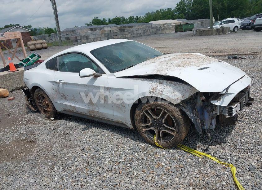 2019 Ford Mustang ECOBOOST (VIN 1FA6P8TH8K5114605) main photo