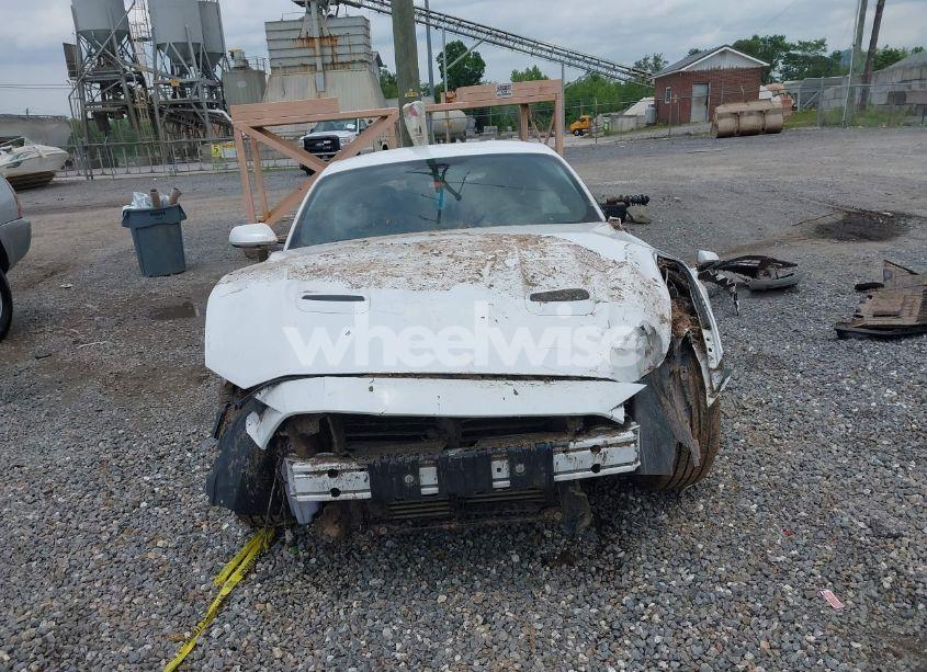 Photo 12 of 2019 Ford Mustang ECOBOOST (VIN 1FA6P8TH8K5114605)