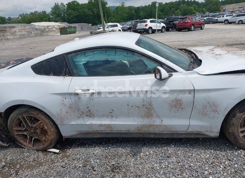 Photo 13 of 2019 Ford Mustang ECOBOOST (VIN 1FA6P8TH8K5114605)