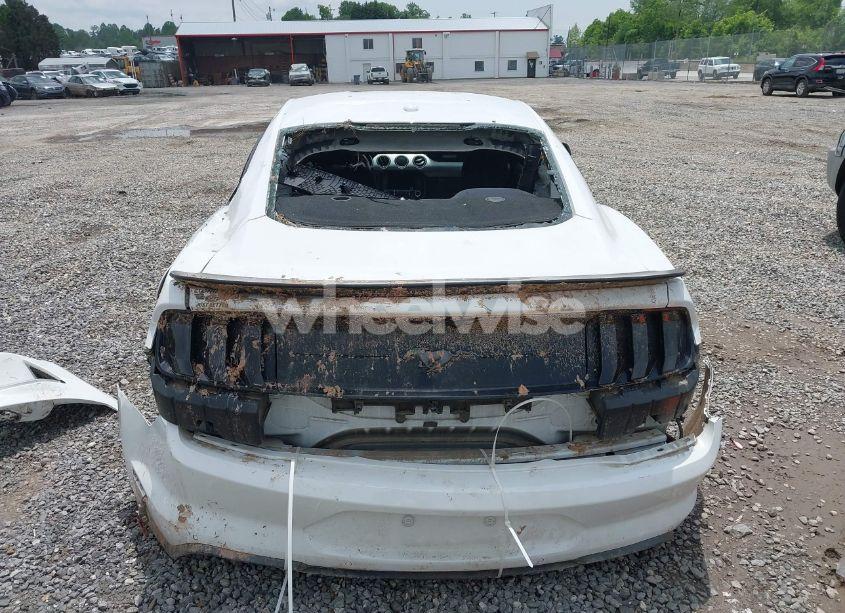 Photo 16 of 2019 Ford Mustang ECOBOOST (VIN 1FA6P8TH8K5114605)