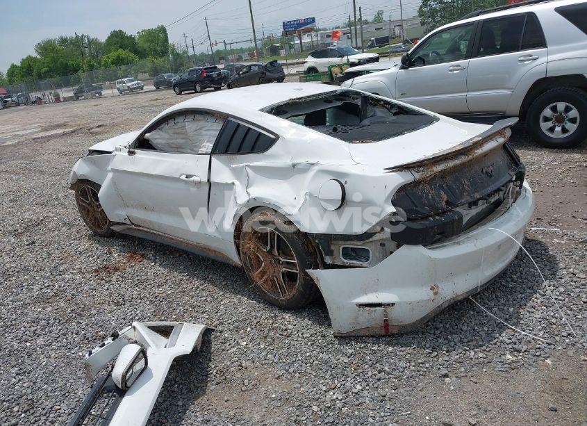 Photo 3 of 2019 Ford Mustang ECOBOOST (VIN 1FA6P8TH8K5114605)