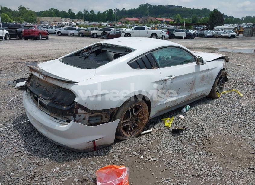 Photo 4 of 2019 Ford Mustang ECOBOOST (VIN 1FA6P8TH8K5114605)