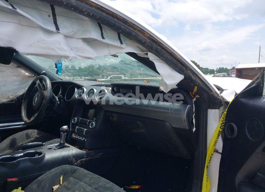 Photo 5 of 2019 Ford Mustang ECOBOOST (VIN 1FA6P8TH8K5114605)