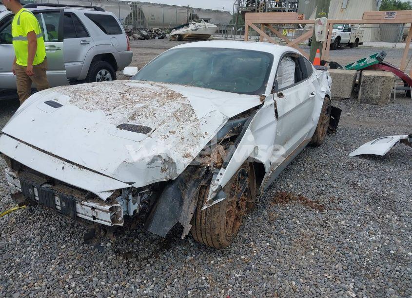 Photo 6 of 2019 Ford Mustang ECOBOOST (VIN 1FA6P8TH8K5114605)