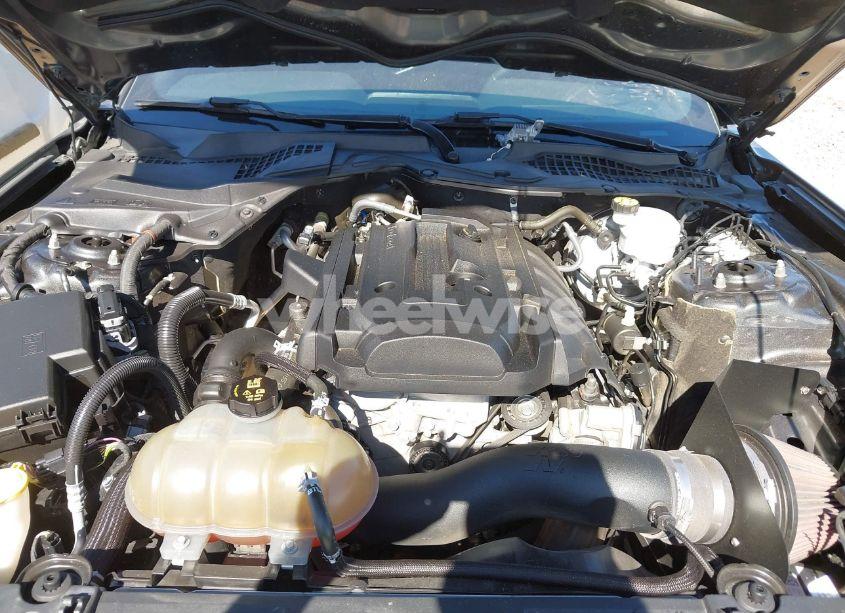 Photo 10 of 2019 Ford Mustang ECOBOOST (VIN 1FA6P8TH8K5125507)