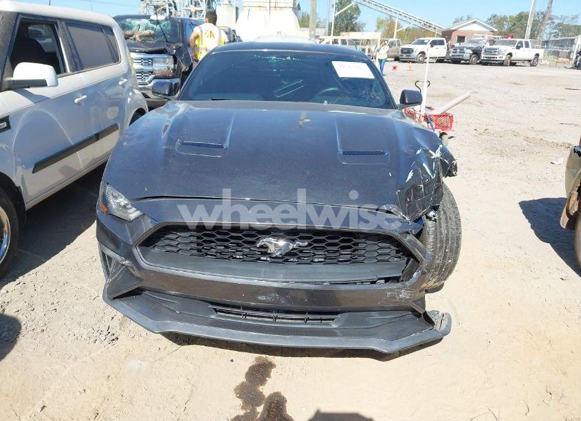 Photo 12 of 2019 Ford Mustang ECOBOOST (VIN 1FA6P8TH8K5125507)