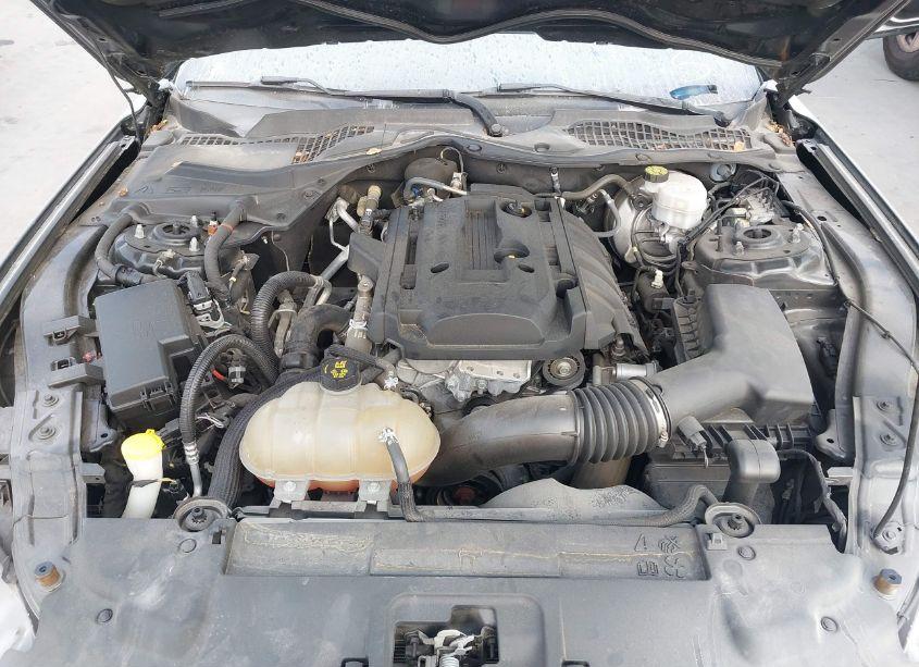 Photo 10 of 2019 Ford Mustang ECOBOOST (VIN 1FA6P8TH8K5141206)