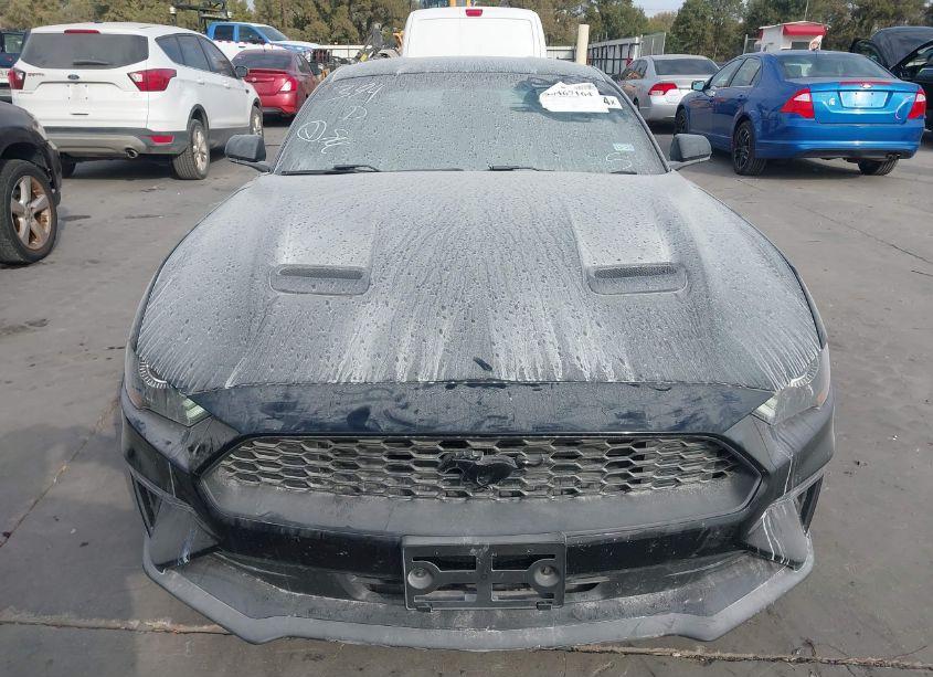 Photo 13 of 2019 Ford Mustang ECOBOOST (VIN 1FA6P8TH8K5141206)