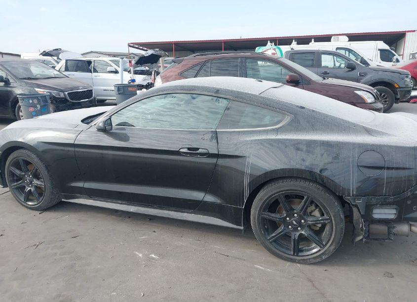 Photo 15 of 2019 Ford Mustang ECOBOOST (VIN 1FA6P8TH8K5141206)