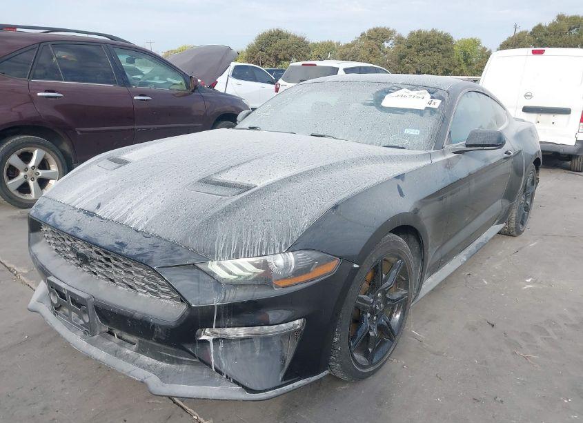 Photo 2 of 2019 Ford Mustang ECOBOOST (VIN 1FA6P8TH8K5141206)