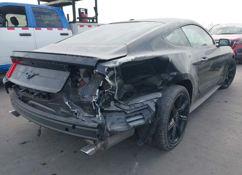 Photo 6 of 2019 Ford Mustang ECOBOOST (VIN 1FA6P8TH8K5141206)