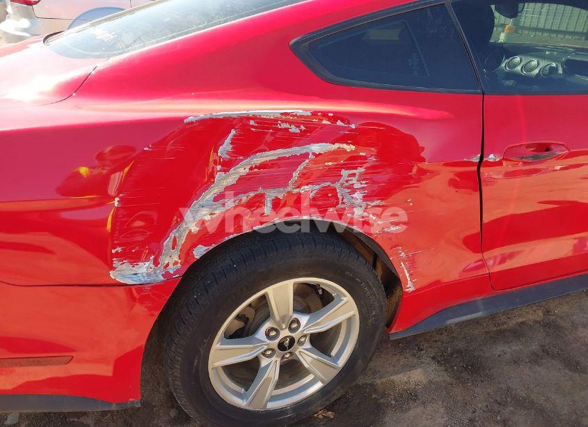 Photo 18 of 2020 Ford Mustang ECOBOOST FASTBACK (VIN 1FA6P8TH8L5103492)