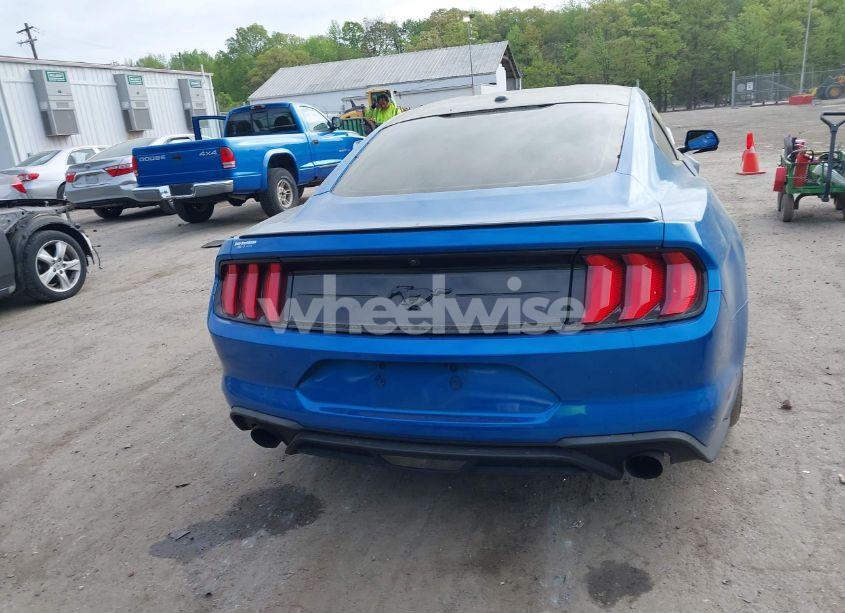 Photo 16 of 2020 Ford Mustang ECOBOOST FASTBACK (VIN 1FA6P8TH8L5113987)