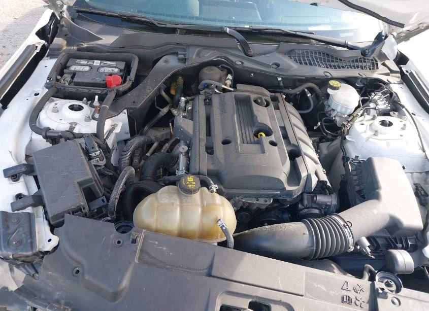 Photo 10 of 2020 Ford Mustang ECOBOOST (VIN 1FA6P8TH8L5145483)