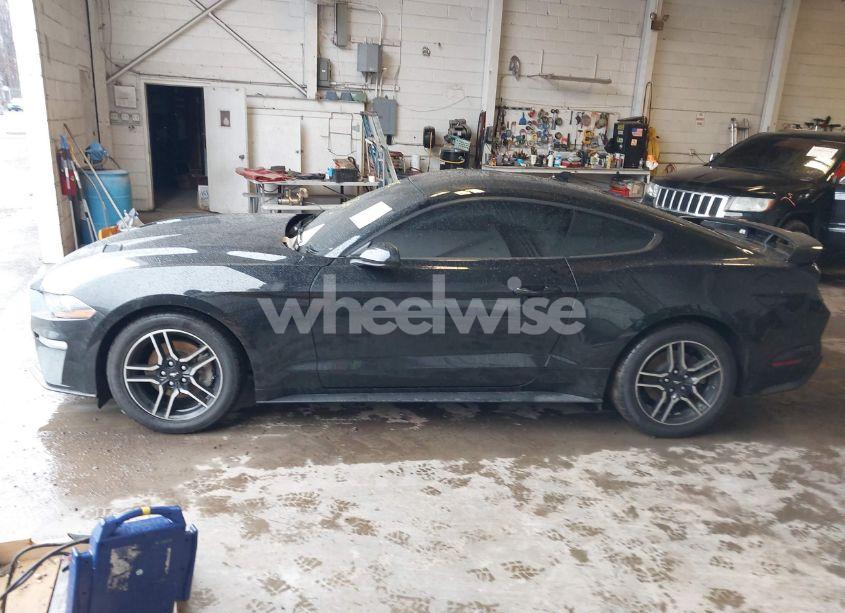 Photo 14 of 2020 Ford Mustang ECOBOOST FASTBACK (VIN 1FA6P8TH8L5171016)