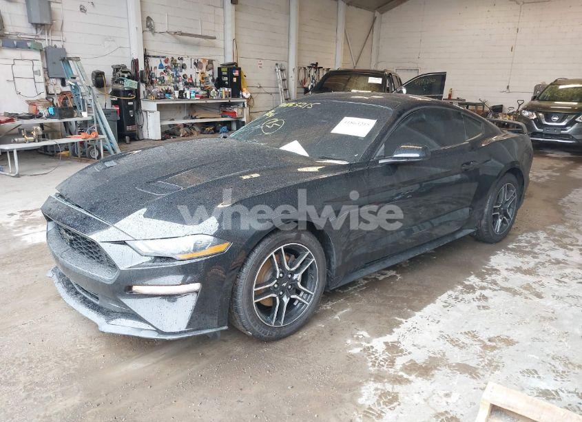 Photo 2 of 2020 Ford Mustang ECOBOOST FASTBACK (VIN 1FA6P8TH8L5171016)
