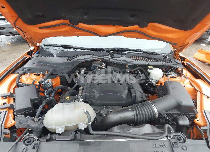 Photo 10 of 2020 Ford Mustang ECOBOOST FASTBACK (VIN 1FA6P8TH8L5182369)
