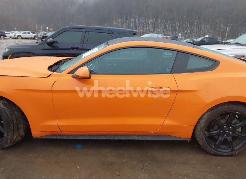 Photo 15 of 2020 Ford Mustang ECOBOOST FASTBACK (VIN 1FA6P8TH8L5182369)