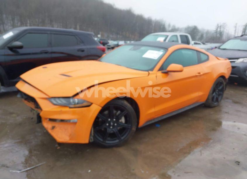 Photo 2 of 2020 Ford Mustang ECOBOOST FASTBACK (VIN 1FA6P8TH8L5182369)