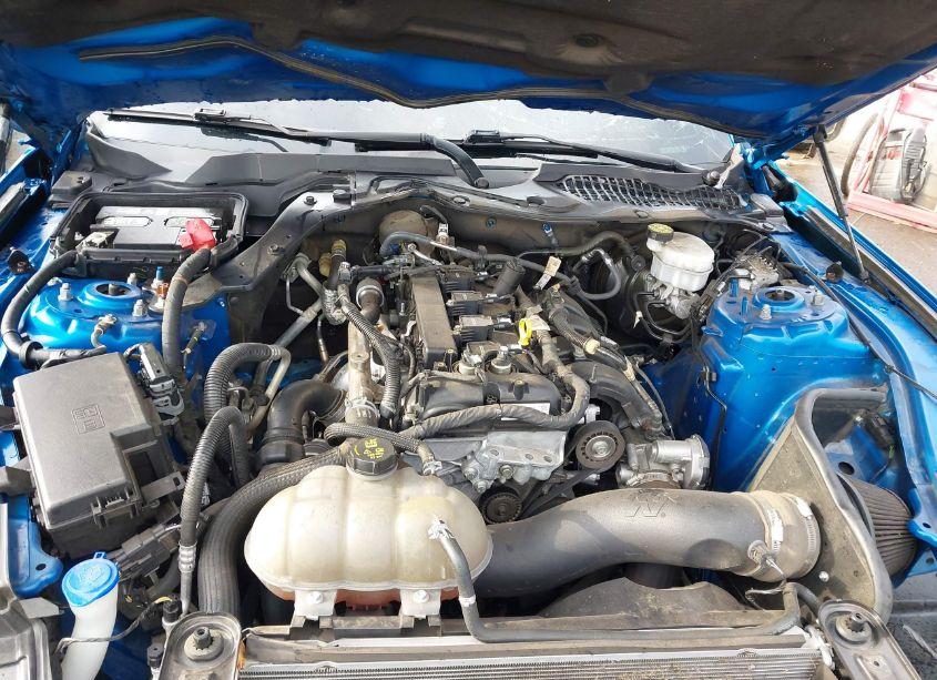 Photo 10 of 2020 Ford Mustang ECOBOOST (VIN 1FA6P8TH8L5189337)