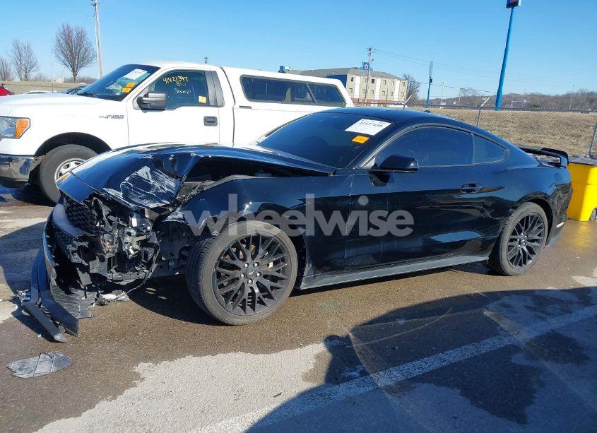 Photo 14 of 2021 Ford Mustang ECOBOOST FASTBACK (VIN 1FA6P8TH8M5110685)