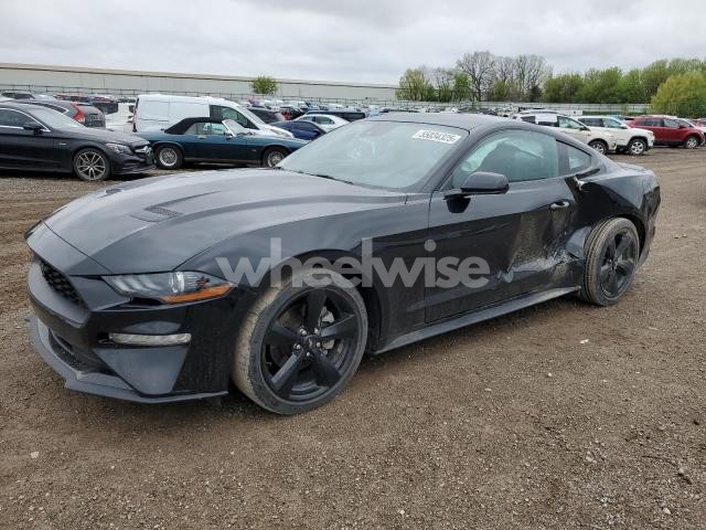 2021 FORD MUSTANG (VIN 1FA6P8TH8M5157151) main photo