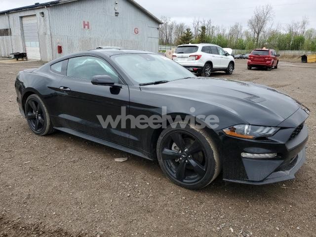 Photo 3 of 2021 FORD MUSTANG (VIN 1FA6P8TH8M5157151)