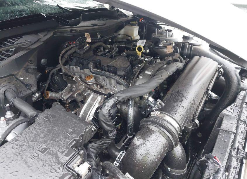 Photo 10 of 2024 Ford Mustang ECOBOOST (VIN 1FA6P8TH8R5108202)
