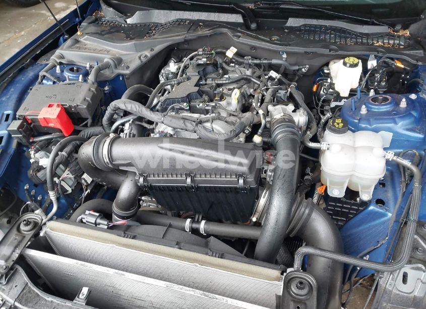 Photo 10 of 2024 Ford Mustang ECOBOOST FASTBACK (VIN 1FA6P8TH8R5121614)