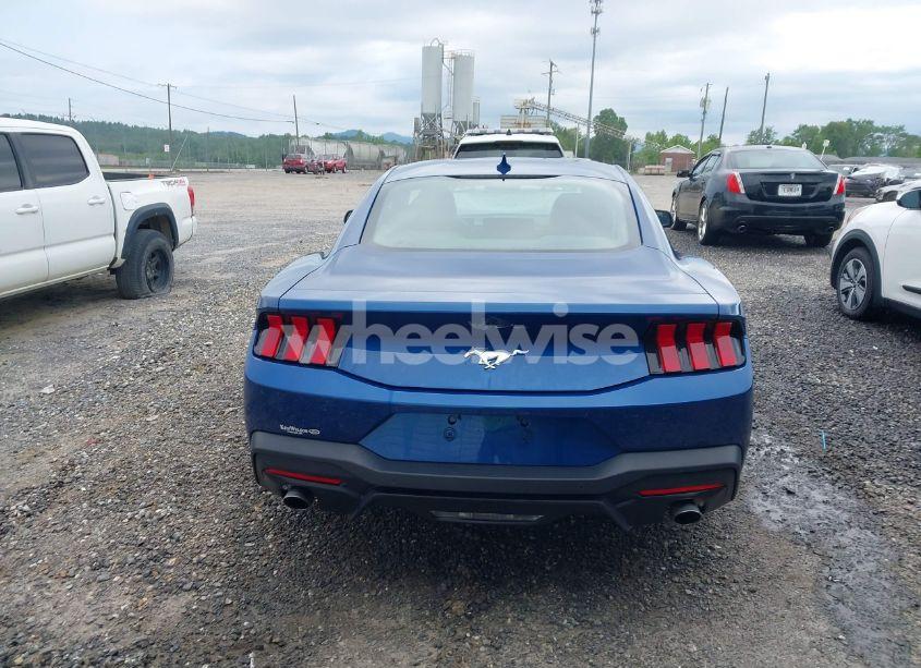 Photo 17 of 2024 Ford Mustang ECOBOOST FASTBACK (VIN 1FA6P8TH8R5121614)