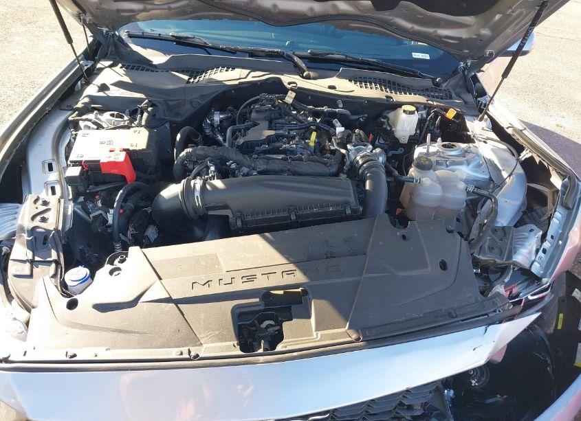 Photo 10 of 2024 Ford Mustang ECOBOOST FASTBACK (VIN 1FA6P8TH8R5124626)