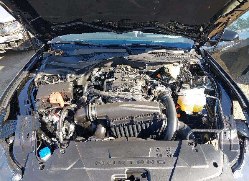 Photo 10 of 2024 Ford Mustang ECOBOOST (VIN 1FA6P8TH8R5140857)