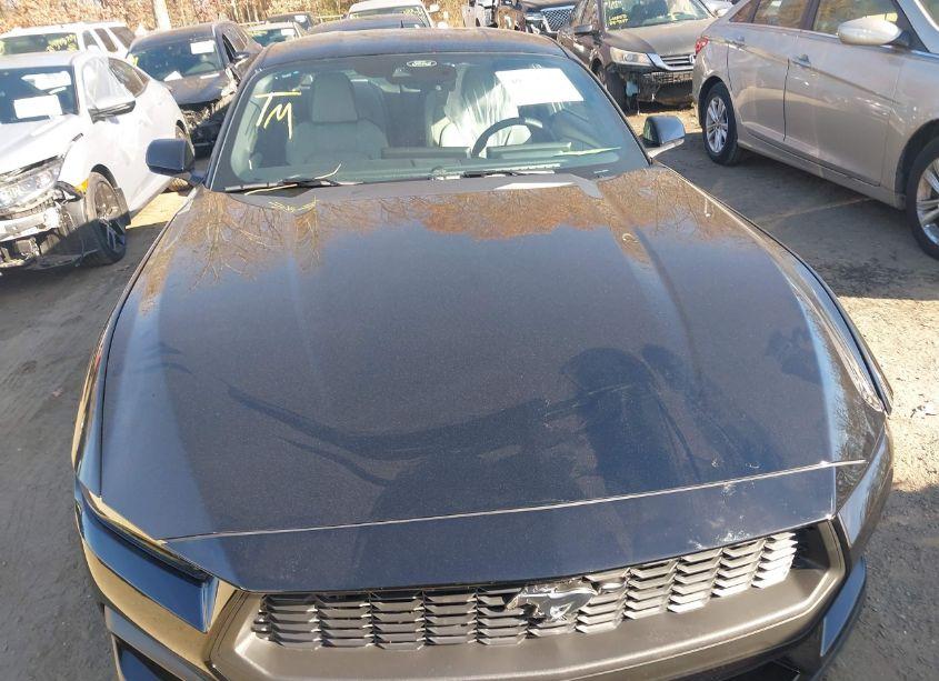 Photo 12 of 2024 Ford Mustang ECOBOOST (VIN 1FA6P8TH8R5140857)