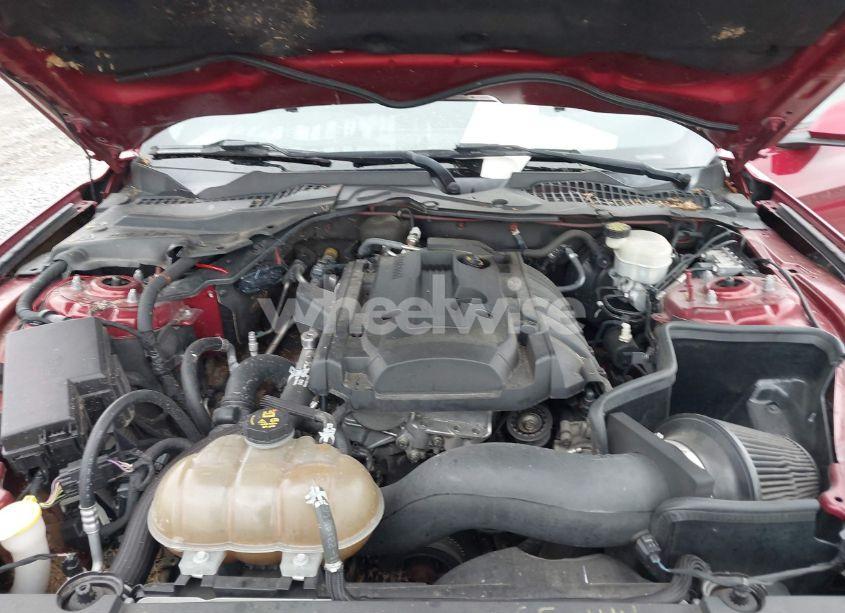 Photo 10 of 2015 Ford Mustang ECOBOOST (VIN 1FA6P8TH9F5407015)