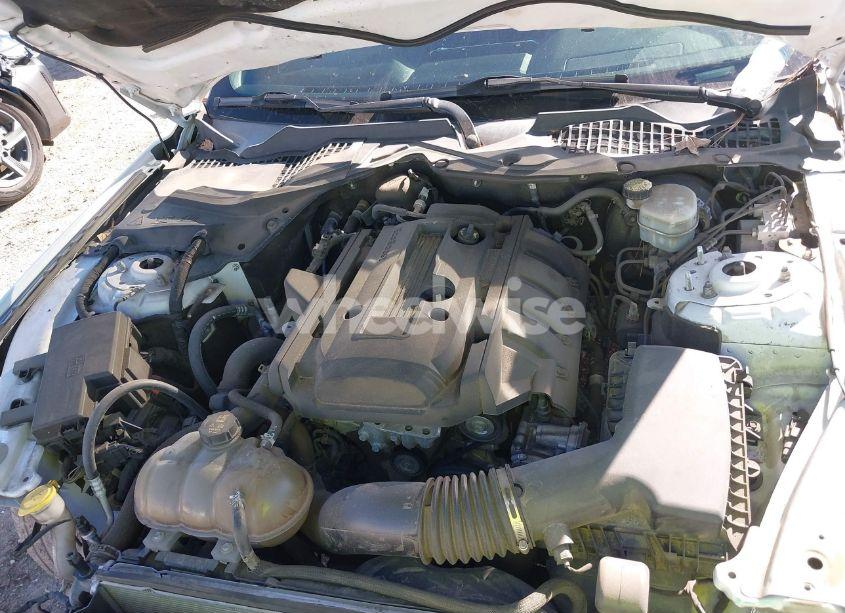 Photo 10 of 2017 Ford Mustang ECOBOOST (VIN 1FA6P8TH9H5219940)