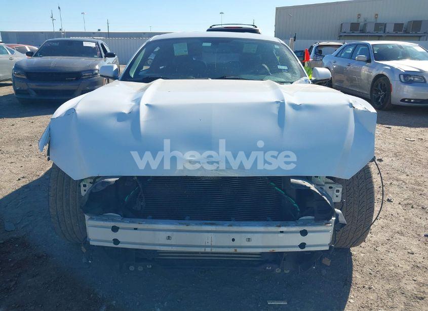 Photo 13 of 2017 Ford Mustang ECOBOOST (VIN 1FA6P8TH9H5219940)