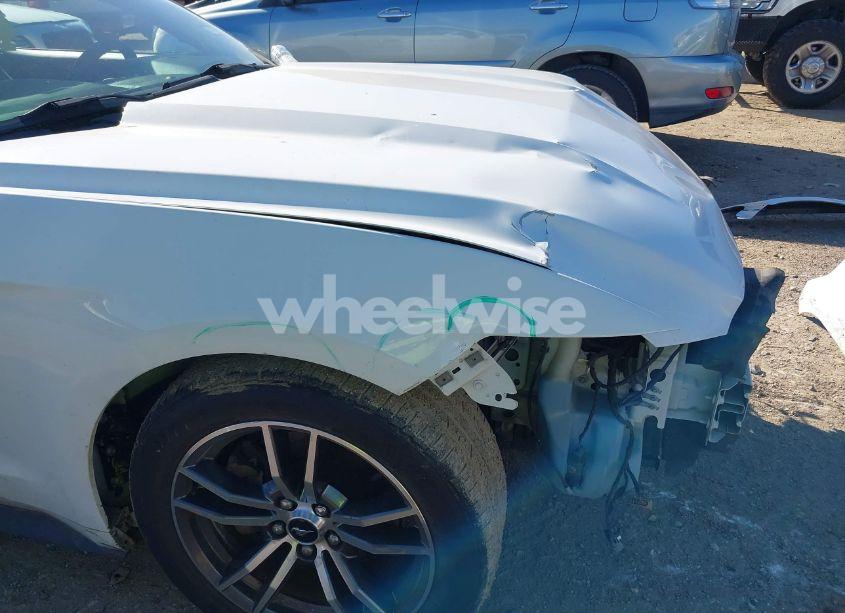 Photo 19 of 2017 Ford Mustang ECOBOOST (VIN 1FA6P8TH9H5219940)