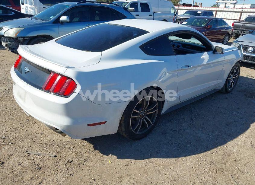 Photo 4 of 2017 Ford Mustang ECOBOOST (VIN 1FA6P8TH9H5219940)