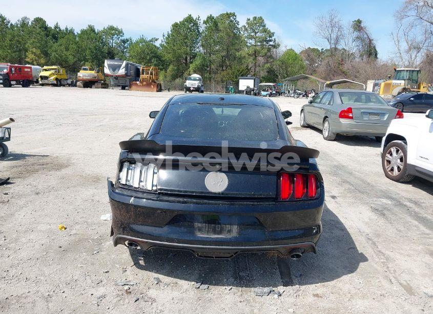 Photo 16 of 2017 Ford Mustang ECOBOOST (VIN 1FA6P8TH9H5259449)