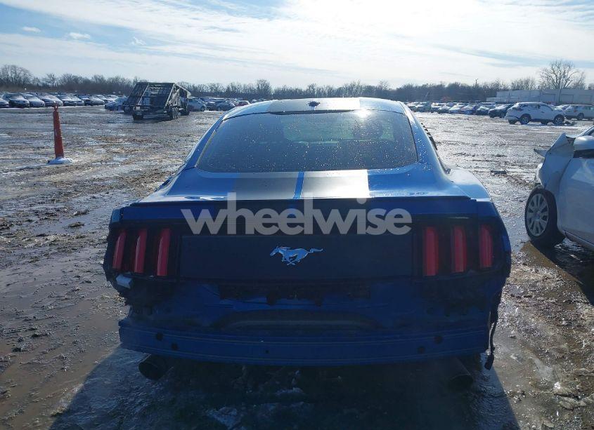 Photo 17 of 2017 Ford Mustang ECOBOOST (VIN 1FA6P8TH9H5281905)