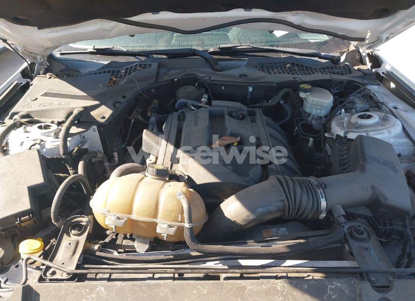 Photo 10 of 2017 Ford Mustang ECOBOOST (VIN 1FA6P8TH9H5282455)