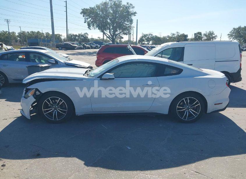 Photo 14 of 2017 Ford Mustang ECOBOOST (VIN 1FA6P8TH9H5282455)