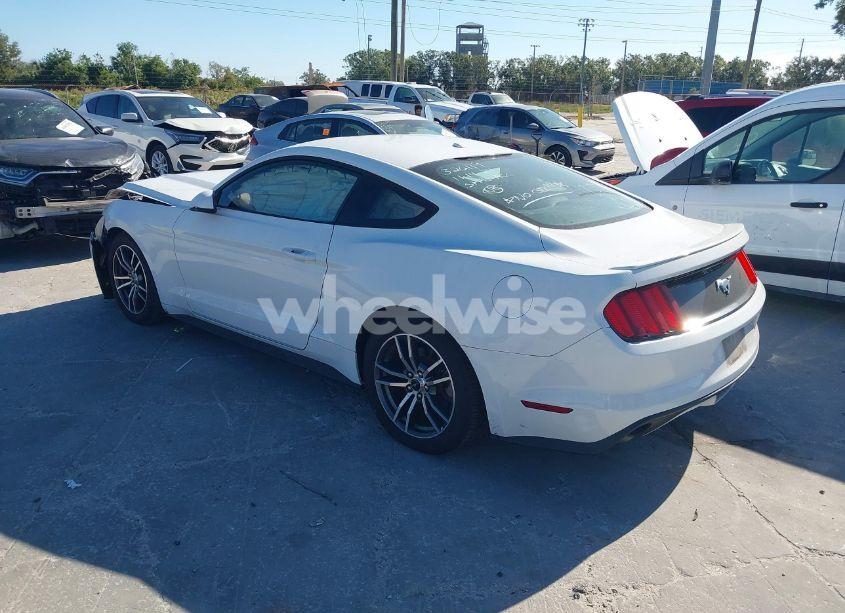 Photo 3 of 2017 Ford Mustang ECOBOOST (VIN 1FA6P8TH9H5282455)