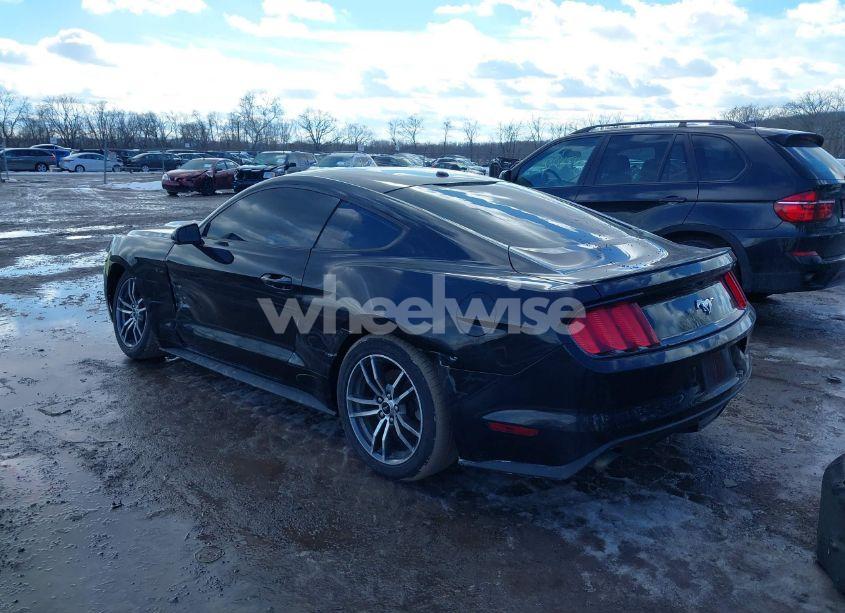 Photo 3 of 2017 Ford Mustang ECOBOOST (VIN 1FA6P8TH9H5294931)