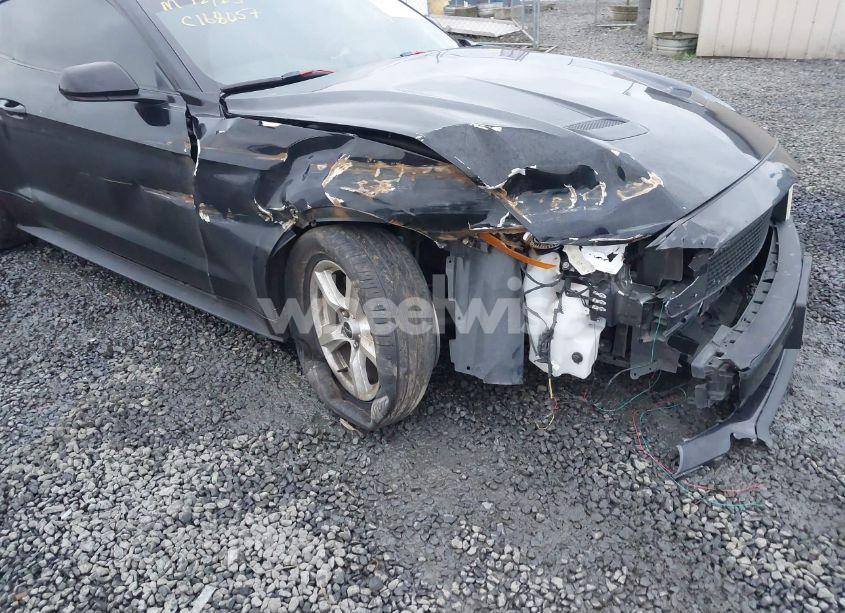 Photo 6 of 2018 Ford Mustang ECOBOOST (VIN 1FA6P8TH9J5119214)