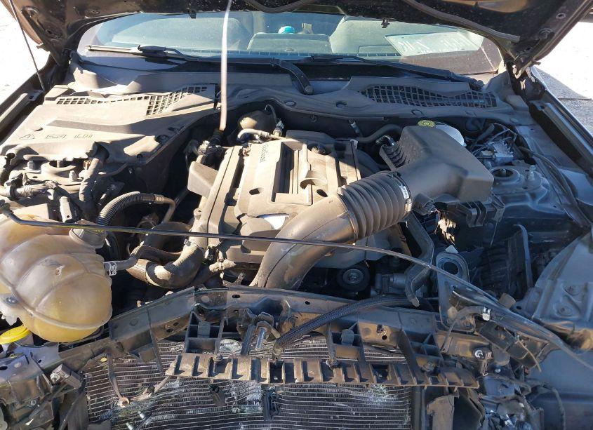 Photo 10 of 2018 Ford Mustang ECOBOOST (VIN 1FA6P8TH9J5179848)