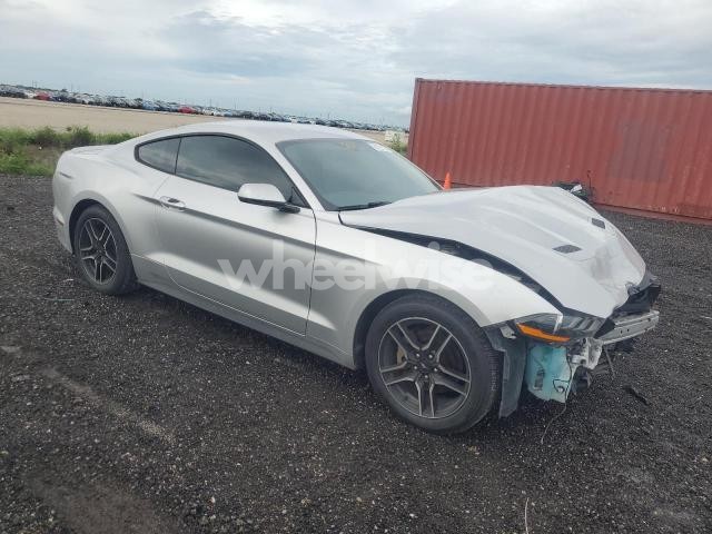 2019 FORD MUSTANG (VIN 1FA6P8TH9K5159777) main photo
